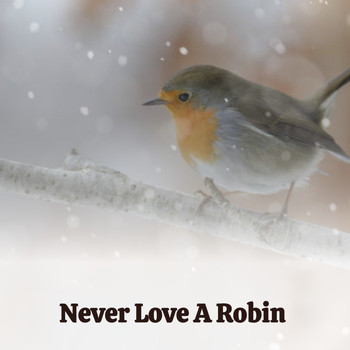 Various Artists - Never Love a Robin