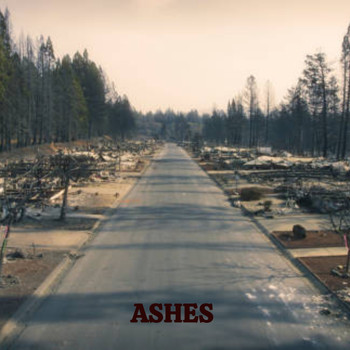 Various Artists - Ashes