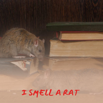 Various Artists - I Smell a Rat (Explicit)