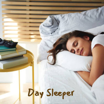 Various Artists - Day Sleeper