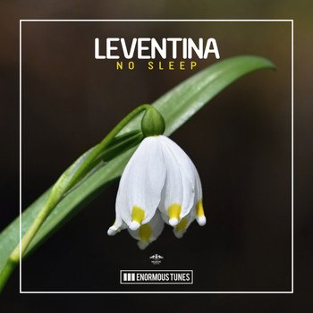 Leventina - No Sleep