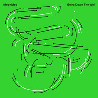 MoonMot - Going Down the Well