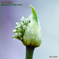 Nkarsia - Beneath the Hate