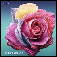 Weivh / - Inner Blossom