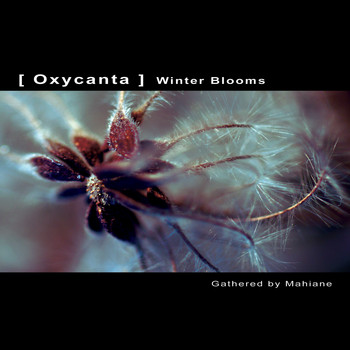 Various Artists - OXYCANTA - Winter Blooms