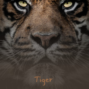 Various Artists - Tiger