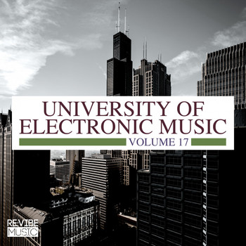 Various Artists - University of Electronic Music, Vol. 17