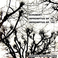 Adrian Aeschbacher - Schubert Impromptus Op. 90