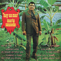 Mario Saucedo - Hay Un Mar
