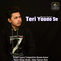 Naveen Kumar - Teri Yaado Se - Single