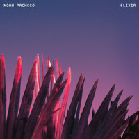 Noah Pacheco - Elixir