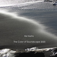 Rei Narita - The Color of Soundscape 2020