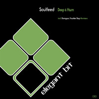 Soulfeed - Deep & Harm