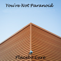 Placebo Cure - You're Not Paranoid