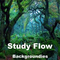 Backgroundies - Study Flow