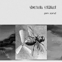 Pim Zond - Something Stranger
