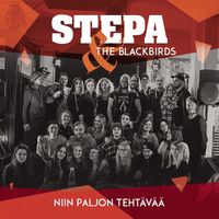 Stepa - Niin paljon tehtävää (feat. The Blackbirds)
