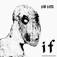 Pim Zond - If