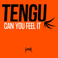 Tengu - Can You Feel It