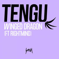 Tengu - Winged Dragon