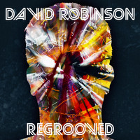 David Robinson - Regrooved