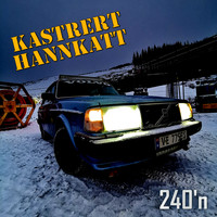 Kastrert Hannkatt - 240'n