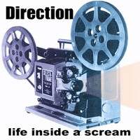 Direction - Life Inside a Scream