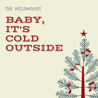 The Wildwoods - Baby It's Cold Outside