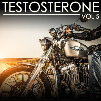 Various Artists - Testosterone, Vol. 5
