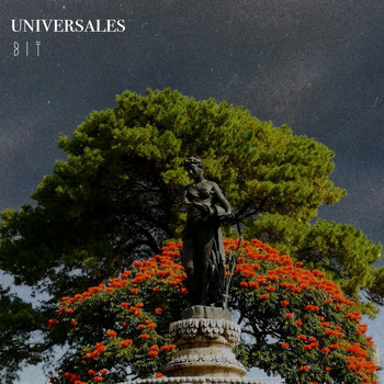 Bit - Universales
