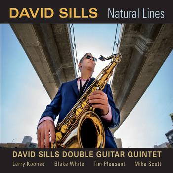 David Sills Double Guitar Quintet - Natural Lines