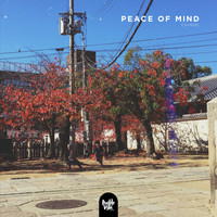 chinsei - Peace of Mind