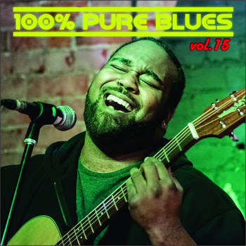 Various Artists - 100% Pure Blues, Vol. 15