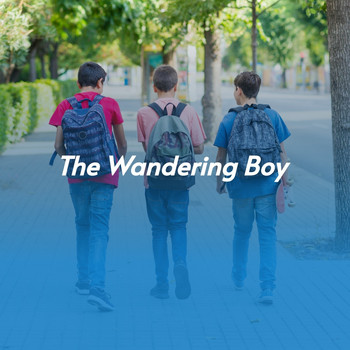 Various Artists - The Wandering Boy