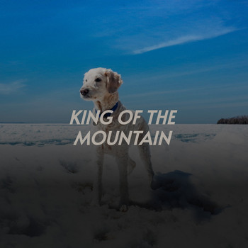 Various Artists - King of the Mountain