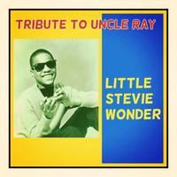 Little Stevie Wonder - Tribute to Uncle Ray