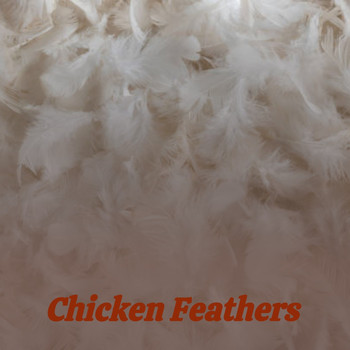 Various Artists - Chicken Feathers