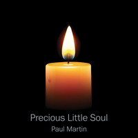 Paul Martin - Precious Little Soul