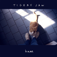 Tigers Jaw - Hum
