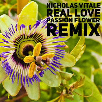Nicholas Vitale - Real Love (Passion Flower Remix)