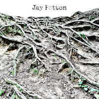 Jay Patton - Roots