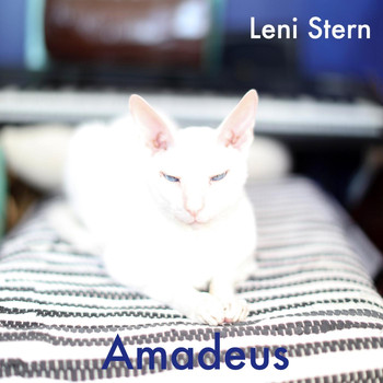 Leni Stern - Amadeus (feat. Leo Genovese, Mamadou Ba & Alioune Faye)