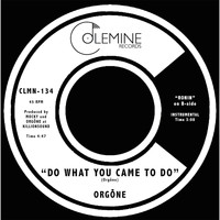 Orgone - Do What You Came to Do