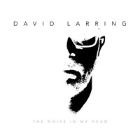 David Larring - The Noise in My Head