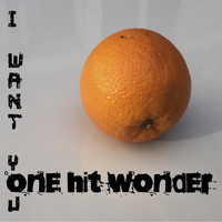 One Hit Wonder - I Want You
