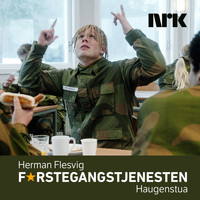 Herman Flesvig - Haugenstua (Explicit)