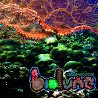 Jimmi-Woods - Biolume