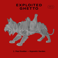 Paul Rudder - Hypnotic Garden
