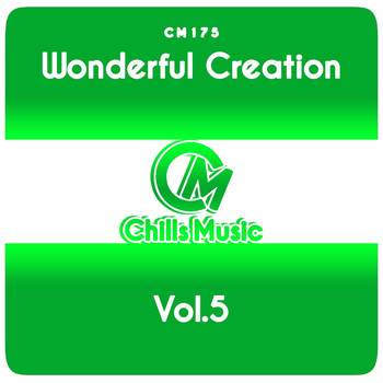 Various Artists - Wonderful Creation, Vol.5