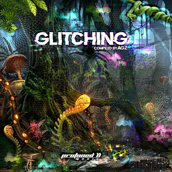 Various Artists - Glitching